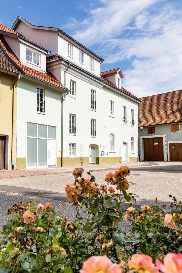 Braviscasa - Ferienresidenz Kenzingen Europa Park Lejlighed Eksteriør billede